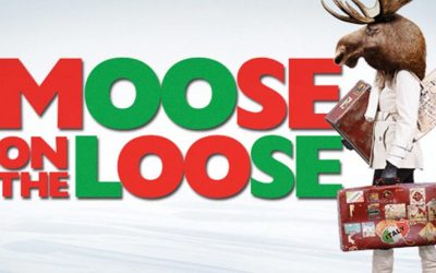 “Moose on the Loose”